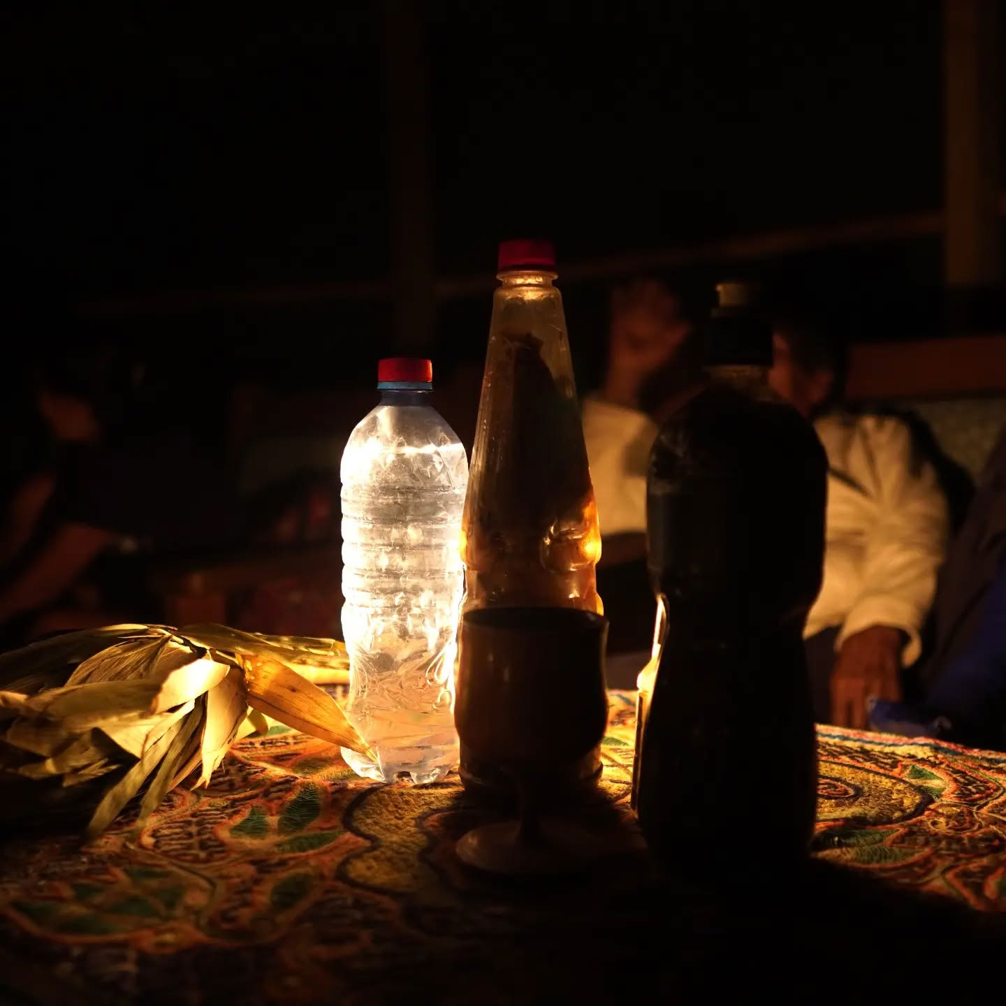 Ritiro di Ayahuasca di 14 Giorni