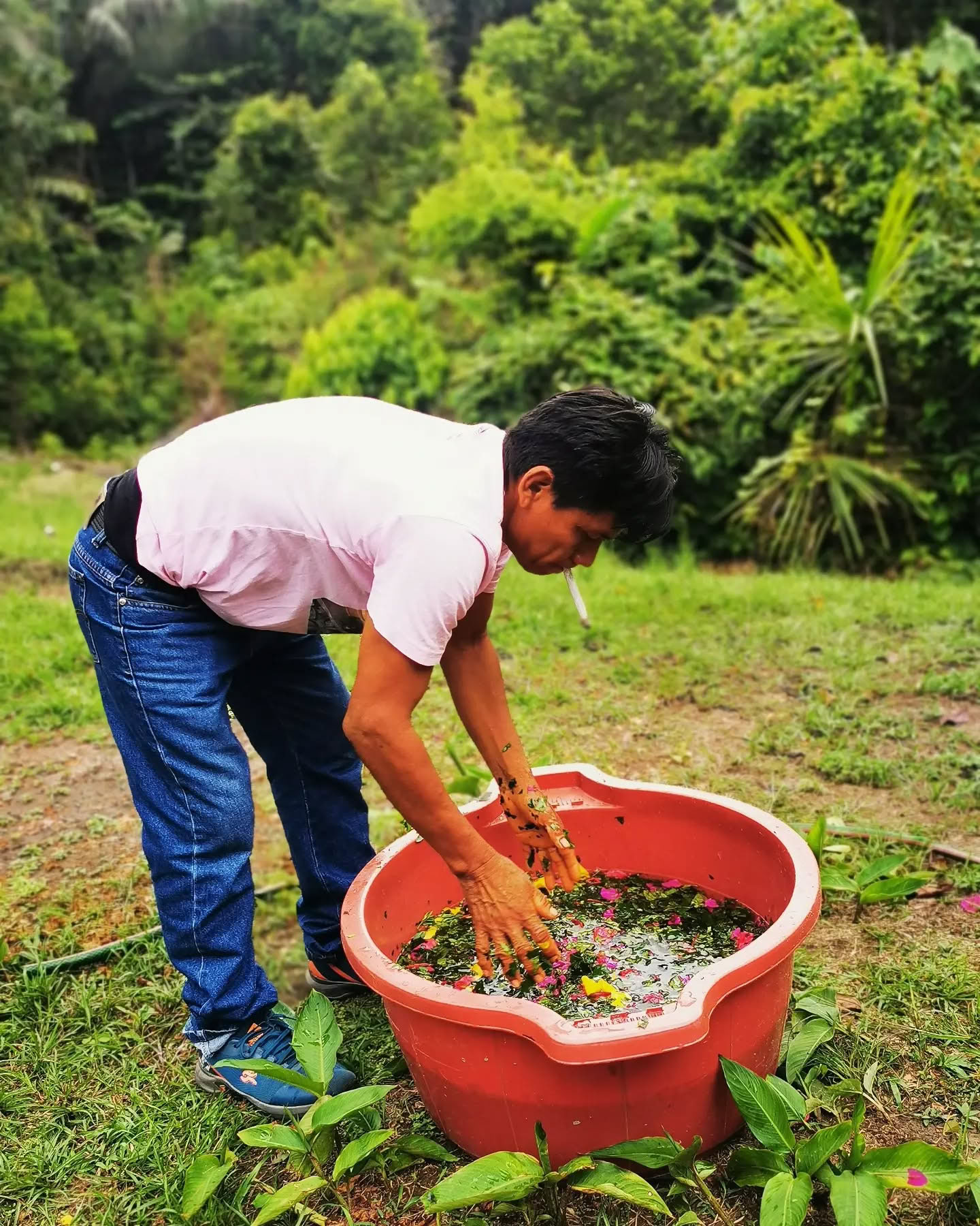 Ritiro di Ayahuasca di 14 Giorni