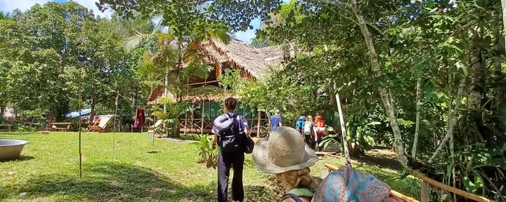 Ritiro di Ayahuasca di 14 Giorni