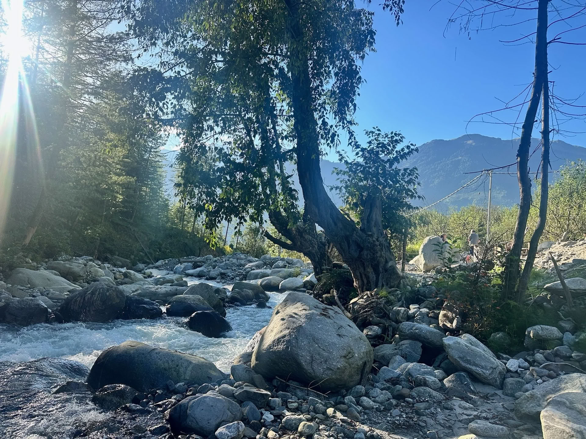 Himalayas Wellness Ritiro
