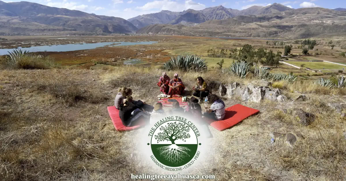 Ritiro di un'intera giornata a San Pedro in Perù: Cerimonia sacra e connessione con la terra