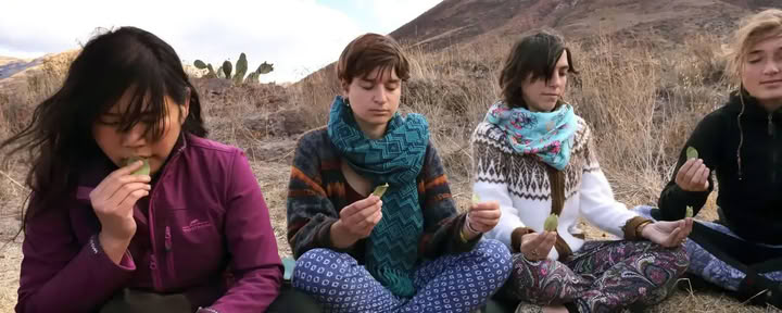 Solo Cerimonia San Pedro