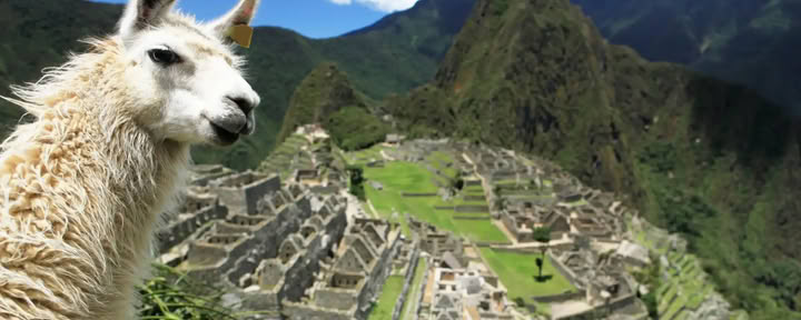 Ritiro di 7 giorni con Ayahuasca e Machu Picchu: viaggio sacro di guarigione