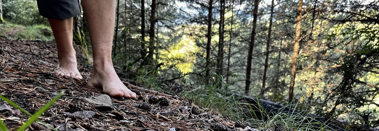 The Peace in the Wild: Yoga, Art & Nature Ritiro