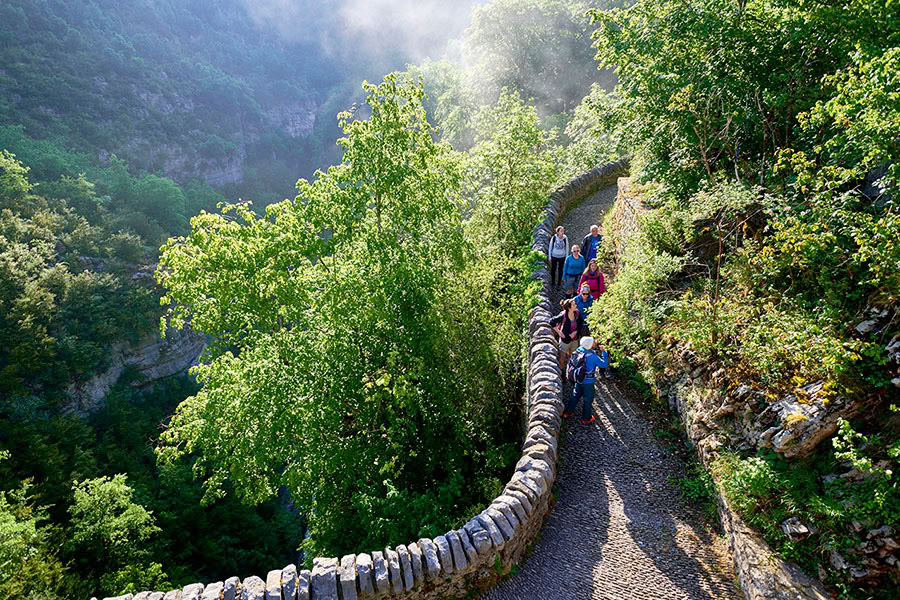 Reverence for life: Yoga, Mindfulness & Hiking Ritiro