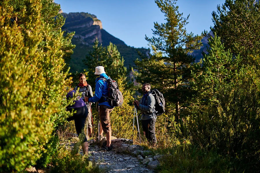 Reverence for life: Yoga, Mindfulness & Hiking Ritiro