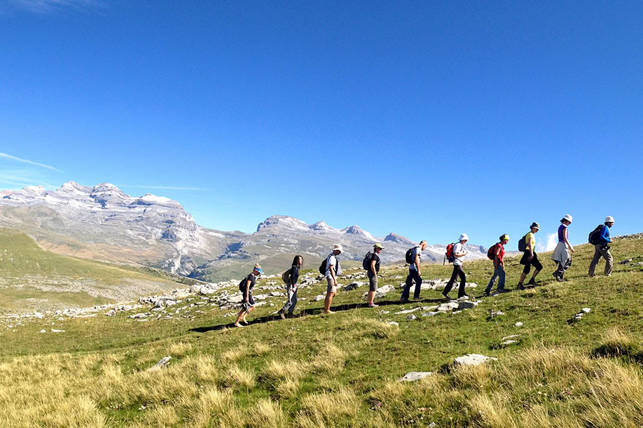 Reverence for life: Yoga, Mindfulness & Hiking Ritiro