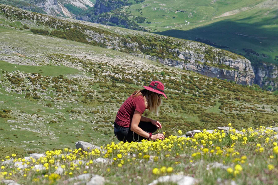 Reverence for life: Yoga, Mindfulness & Hiking Ritiro