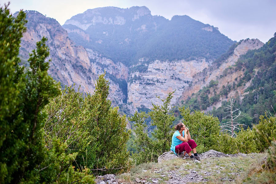 Reverence for life: Yoga, Mindfulness & Hiking Ritiro