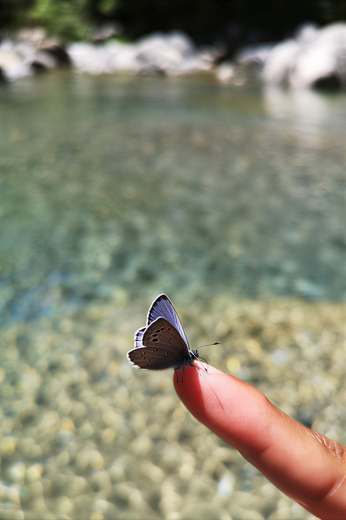 Forest Bathing: Ritiro di Yoga, Arte e Natura