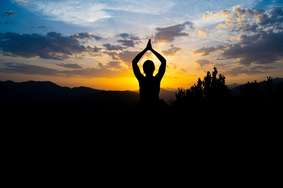 Forest Bathing: Ritiro di Yoga, Arte e Natura