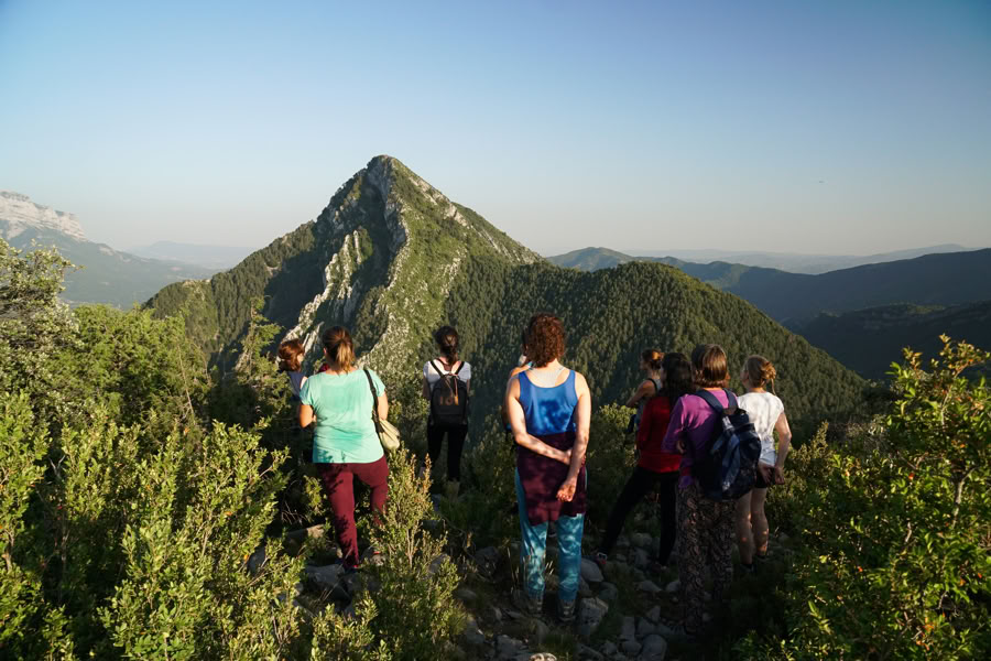 Reverence for life: Yoga, Art & Nature Ritiro