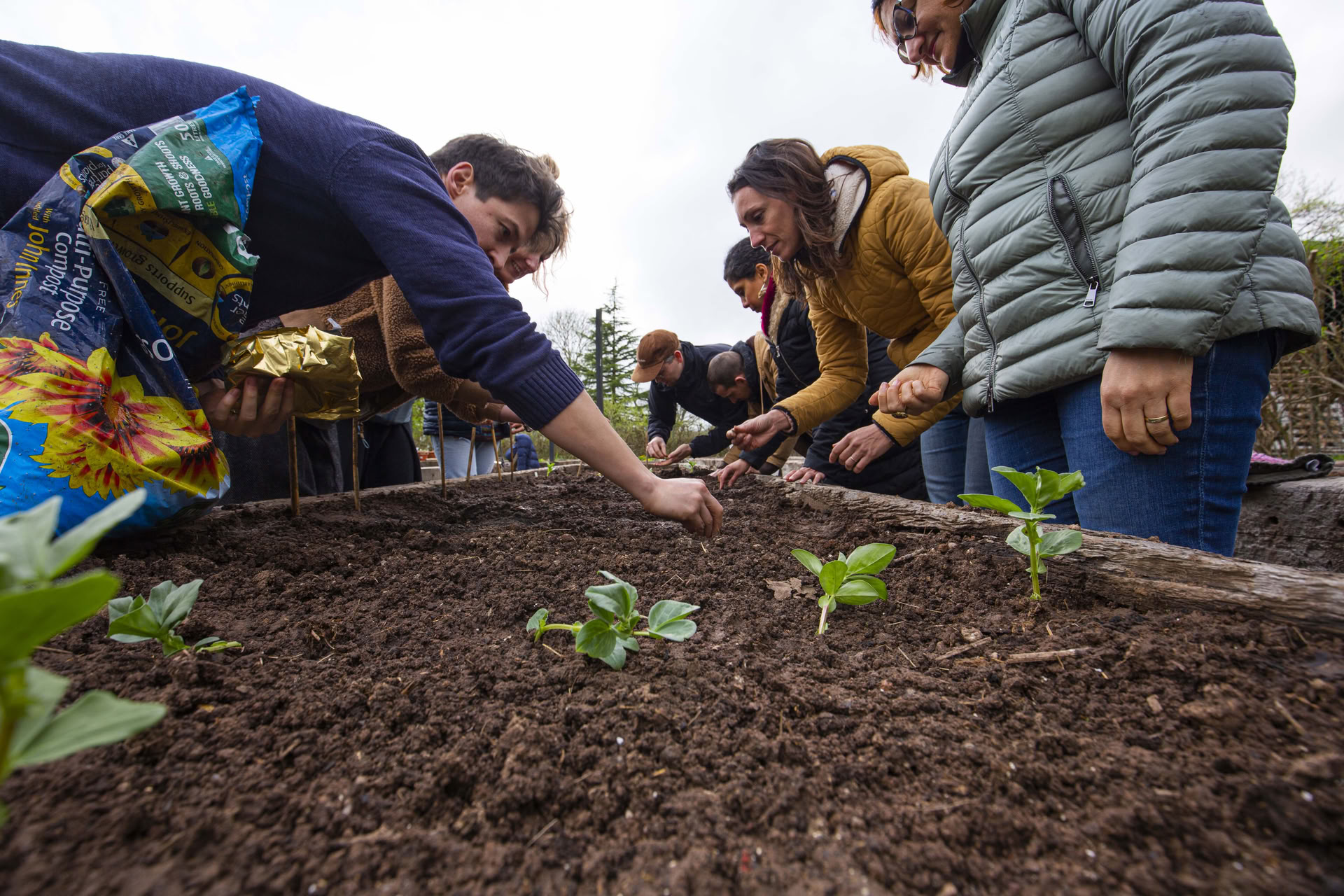 Campo sul clima: Zero e oltre