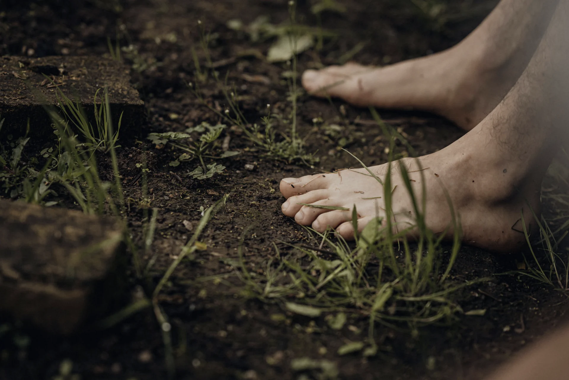 Campo sul clima: Zero e oltre