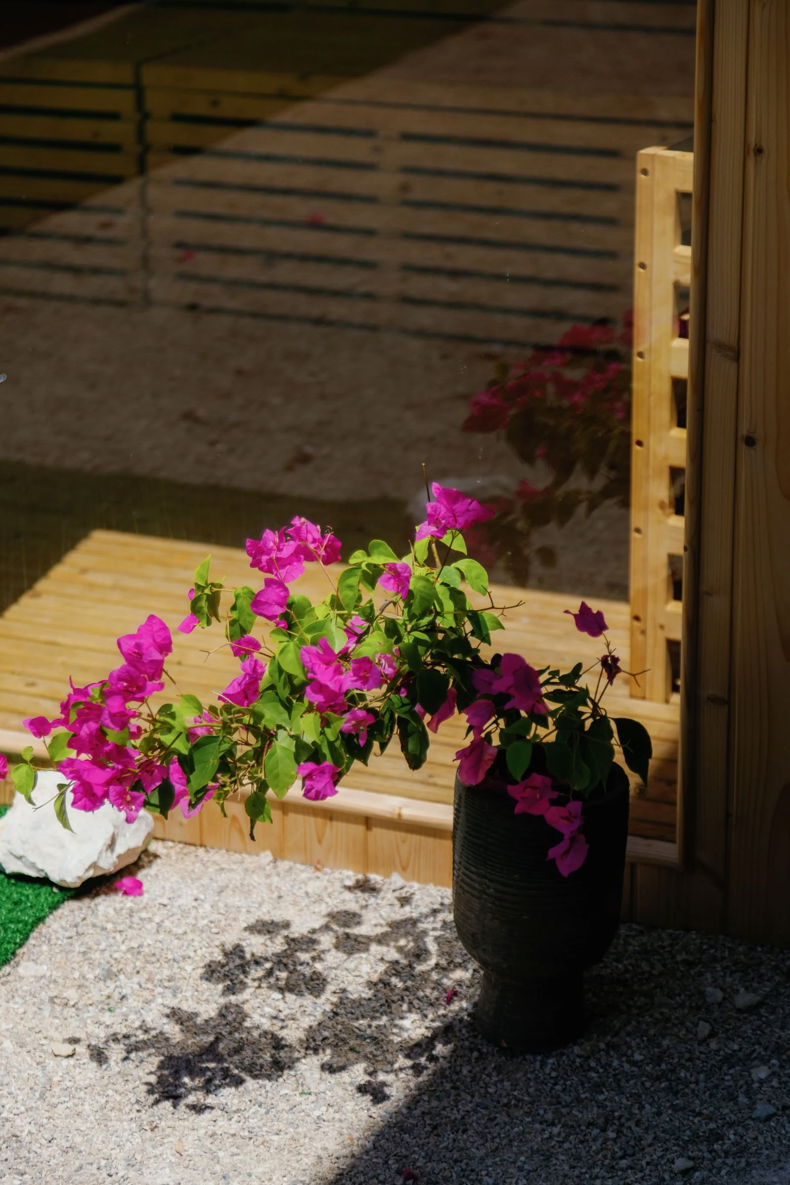 Ritiro Equestre