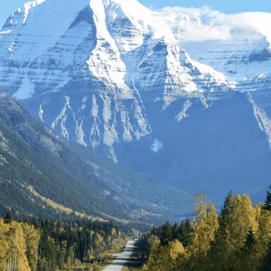 Into la quiete: Un ritiro in montagna nel Montana