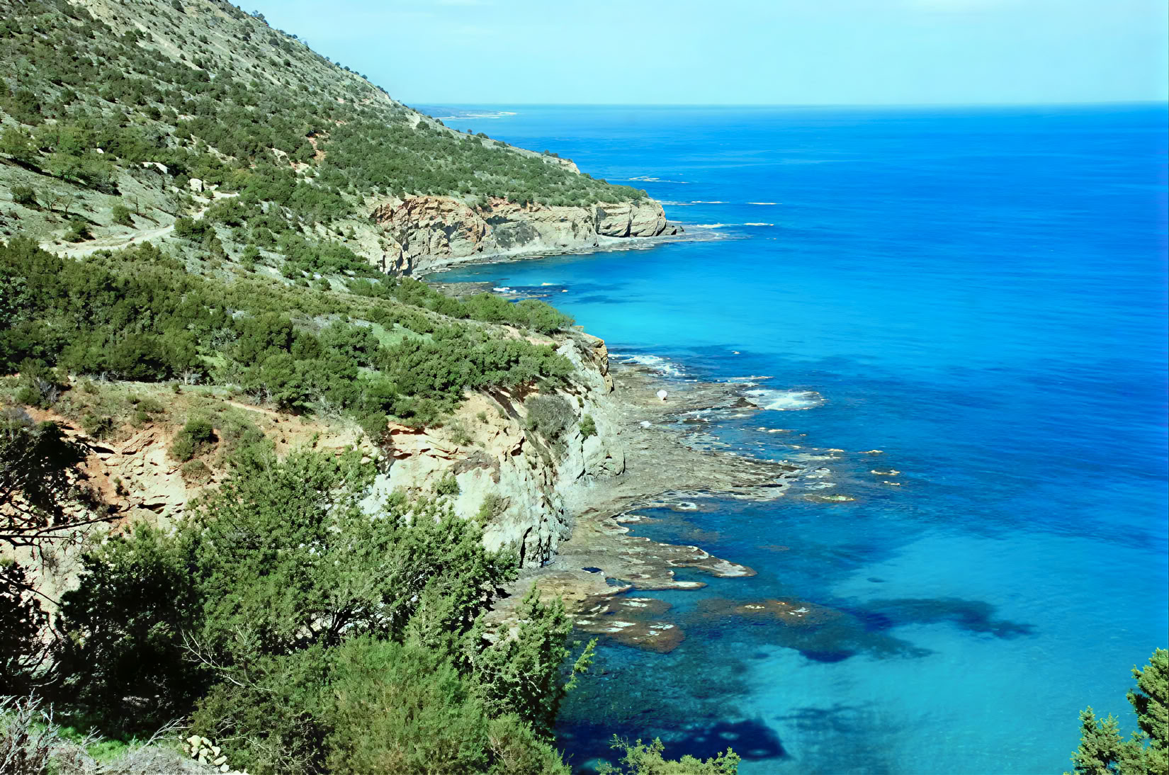 Cyprus Body Reset & Renew Ritiro