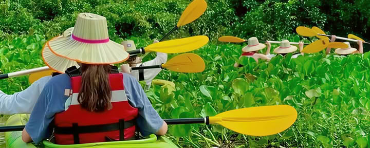 Cambogia -Templi, Ciclismo, Cascate, Escursioni e Avventure in Kayak — DBC Health Retreats Europe Ritiri 2024