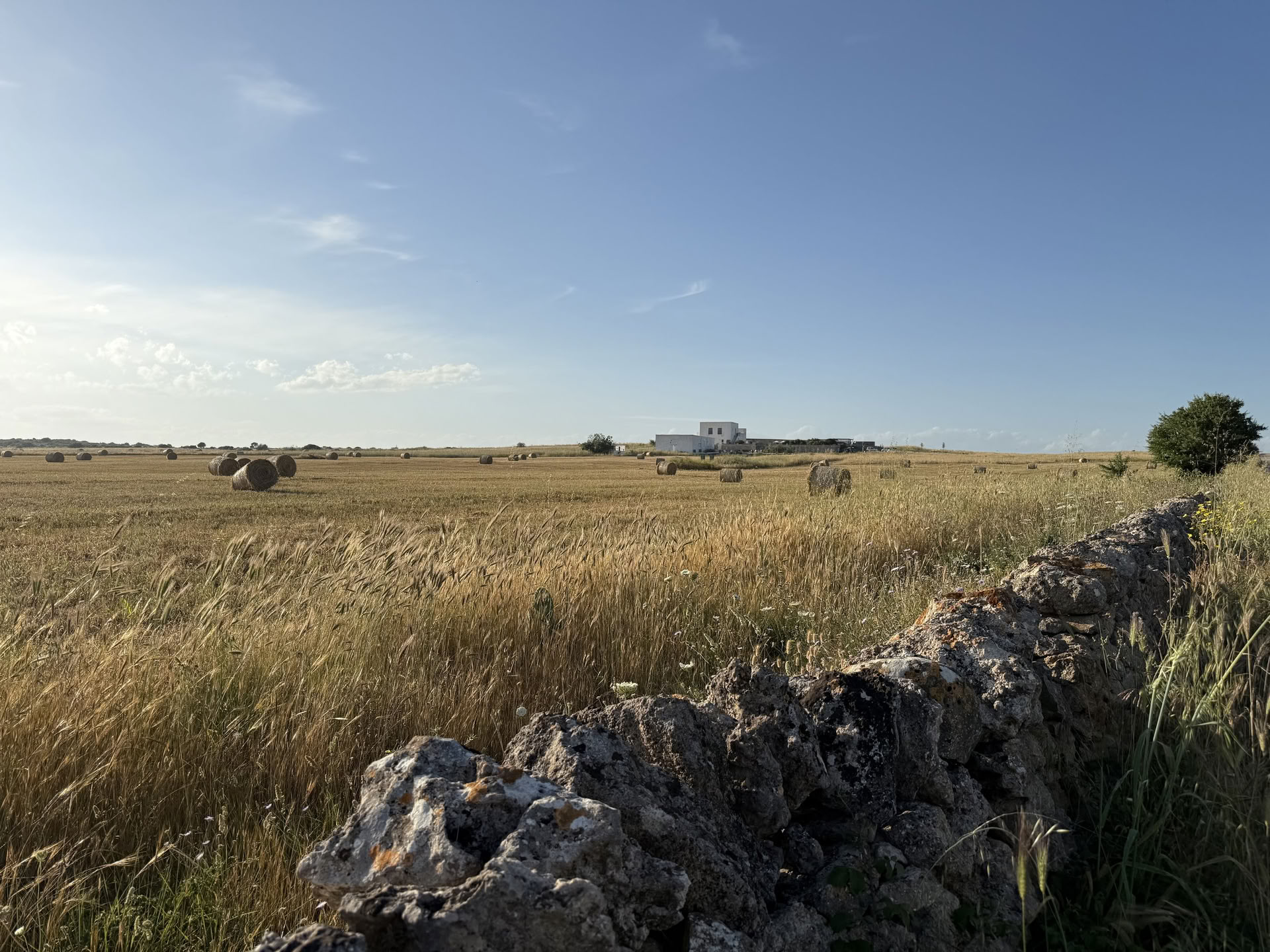 Conversations with Place: Una residenza creativa a Masseria Specula