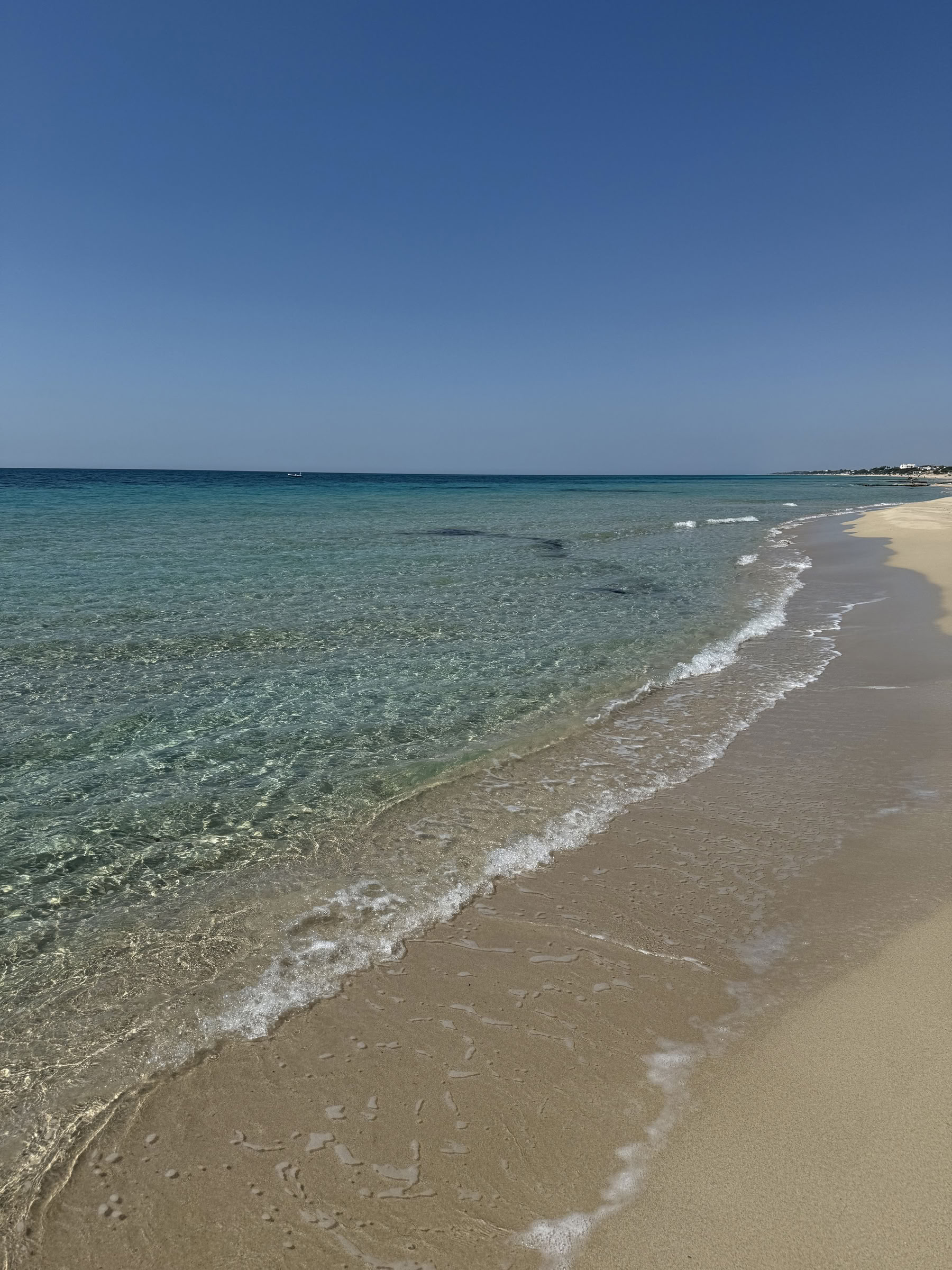 Conversations with Place: Una residenza creativa a Masseria Specula