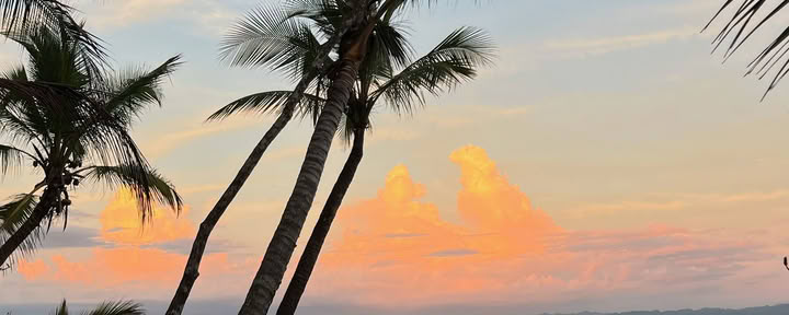 Yoga & Surf sulla Penisola di Osa, 13-20 marzo 2027 — ASHTANGA MONTAUK
