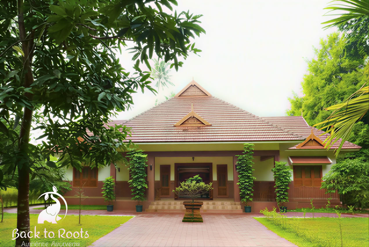 14 notti Detox presso Back to Roots Ayurveda