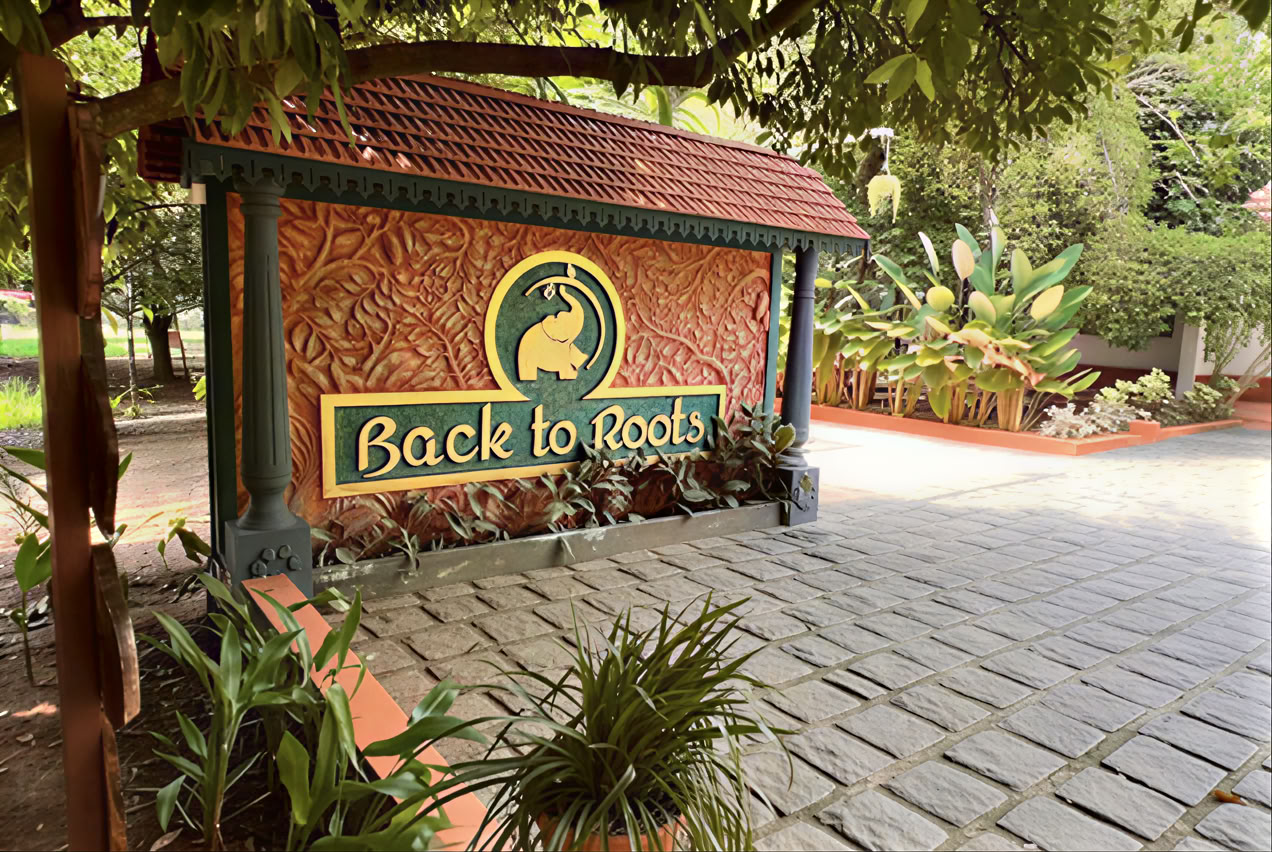 14 notti Detox presso Back to Roots Ayurveda