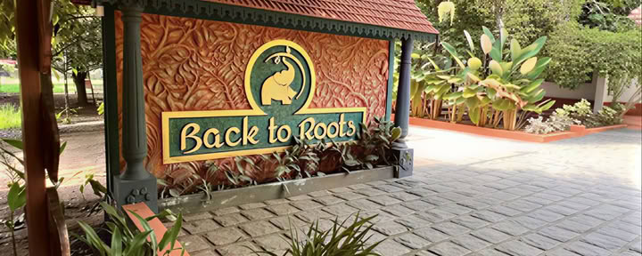 14 notti Detox presso Back to Roots Ayurveda