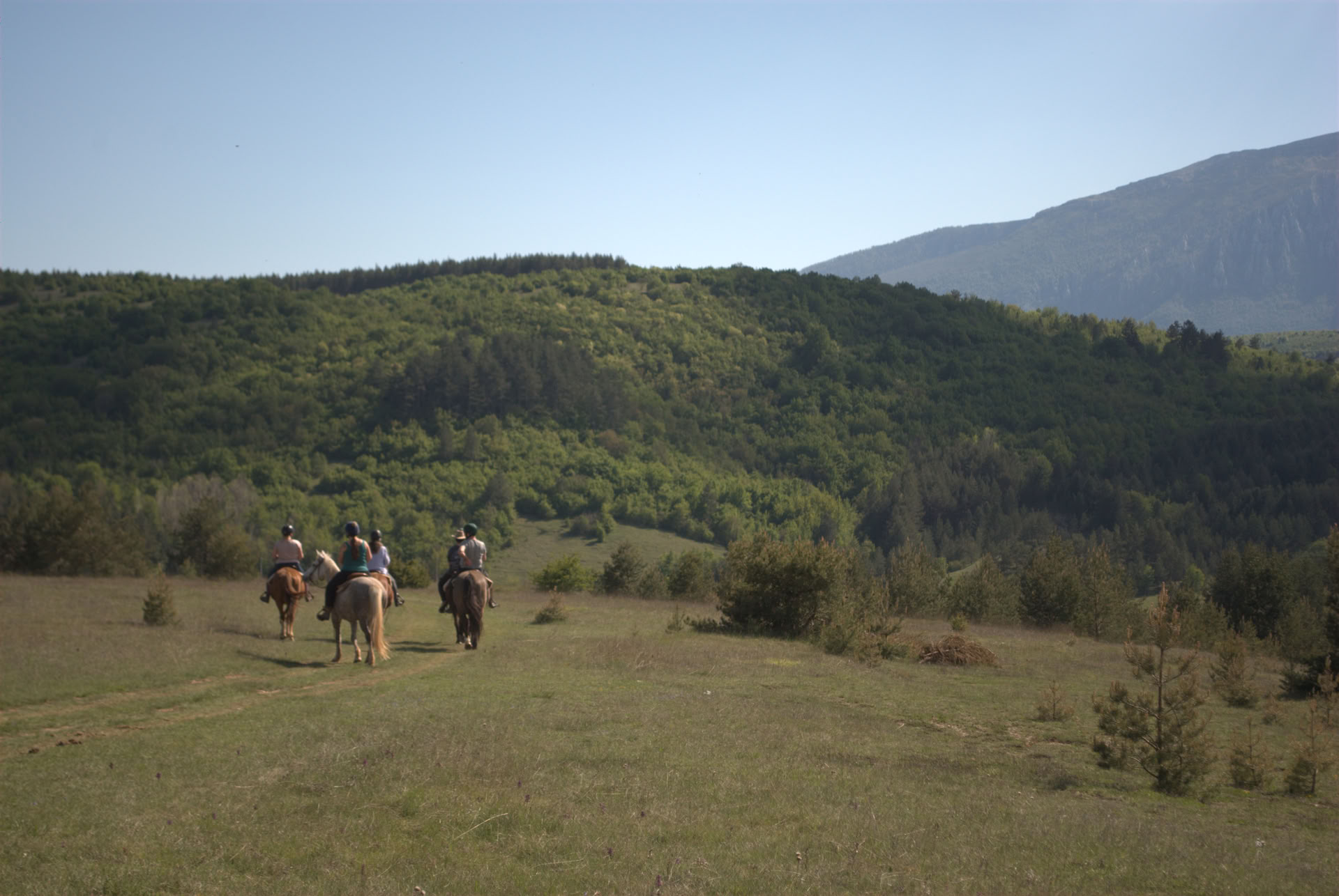 Healing a cavallo | Bosnia 18th - 23rd October