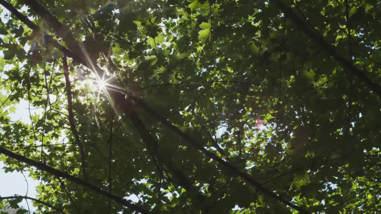 Respira e inizia