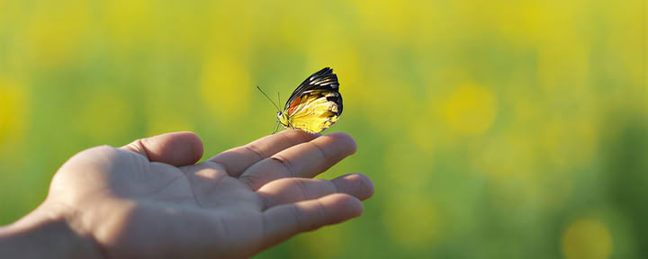 Ritiro di Rinascita Personale