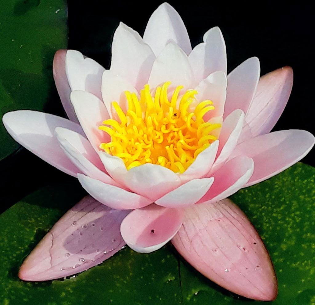 Meditazione con leggerezza – Un ritiro di silenzio e consapevolezza