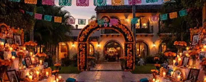 Vibrant Souls: Ritiro di yoga e immersione culturale per il Día de los Muertos