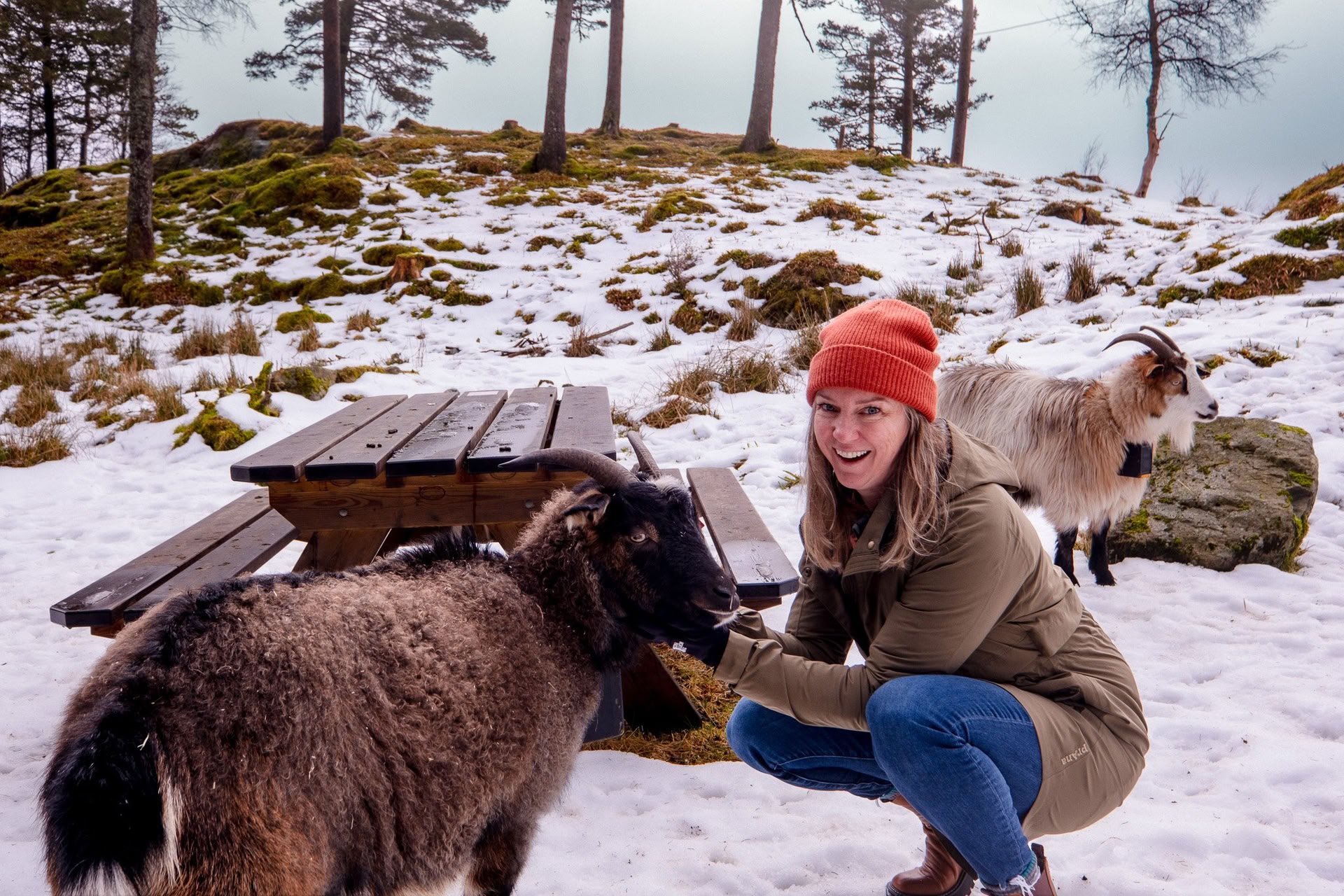 Norvegia Yoga & Backpacking