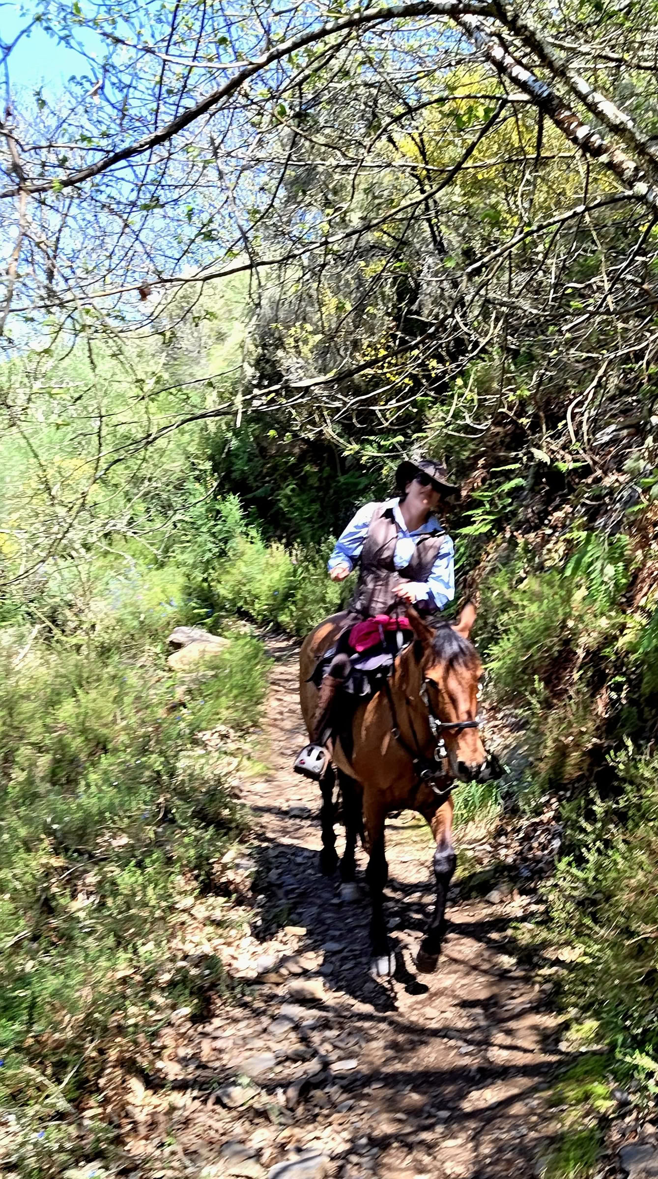 Trekking dell'Eclissi sul Camino