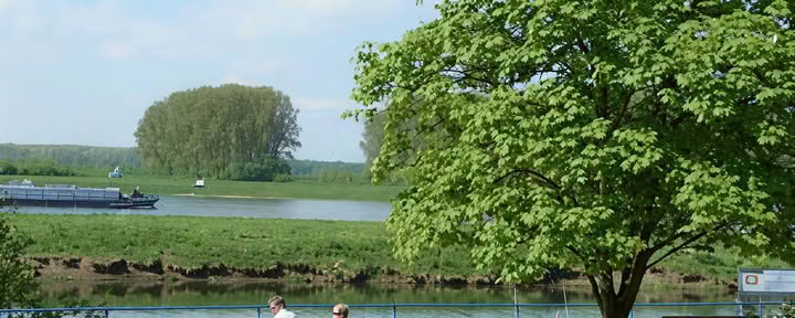 Sabato mattina: Tango argentino