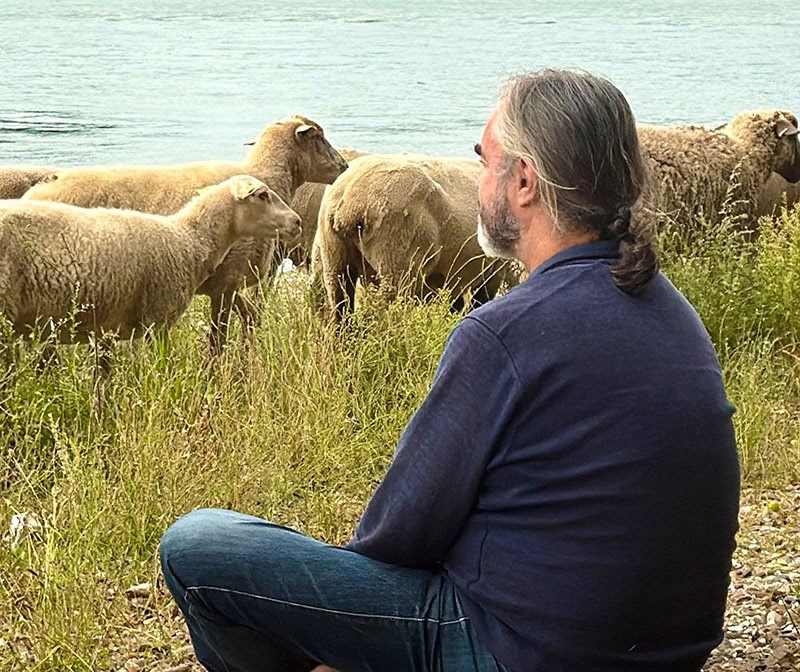 Giornate di Mindfulness