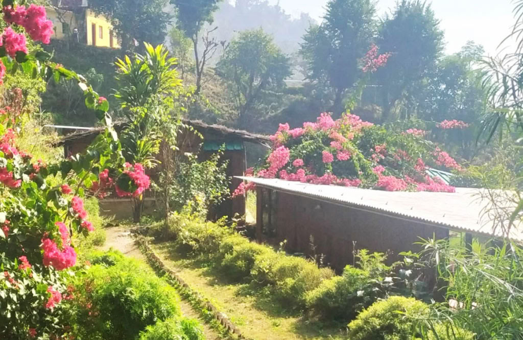100 Ore di Formazione Insegnanti di Yoga a Rishikesh