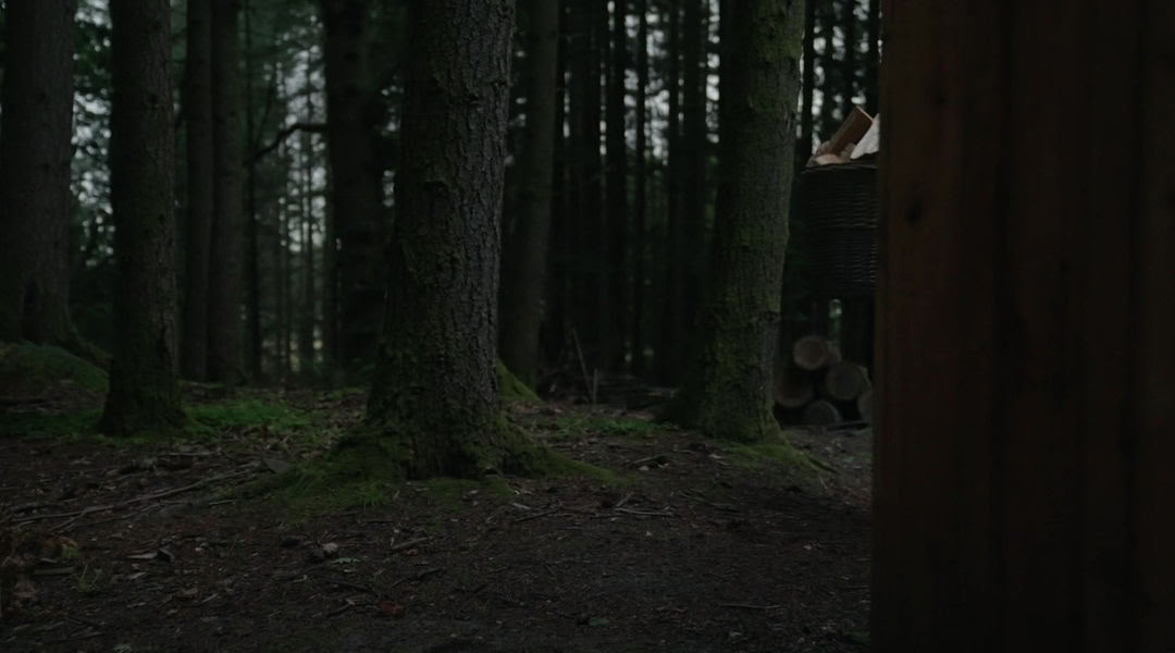 Sessioni di Sauna