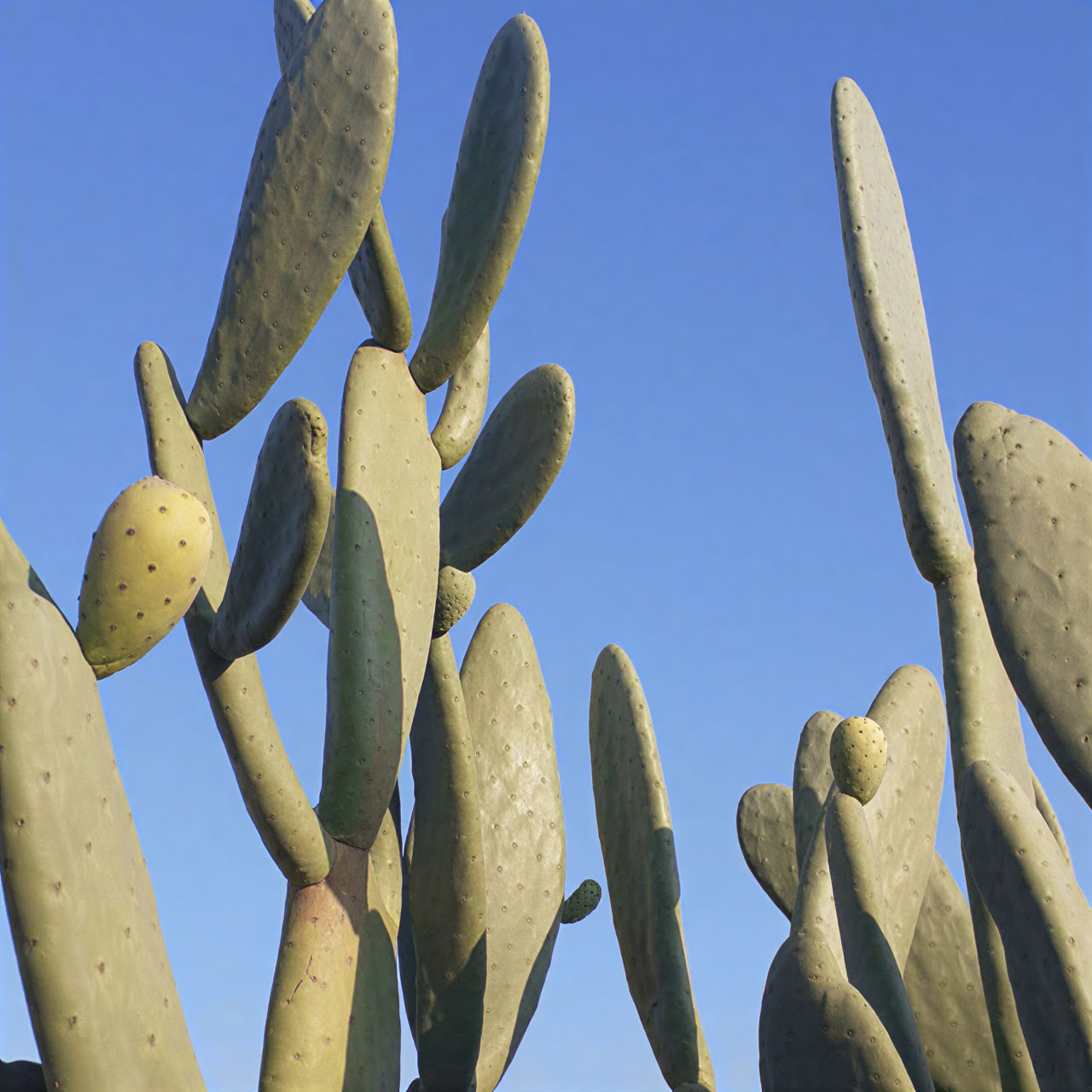 Sole, Mare & Abbandono d'Estate in Italia: Yoga & Guarigione con il Suono per il Benessere
