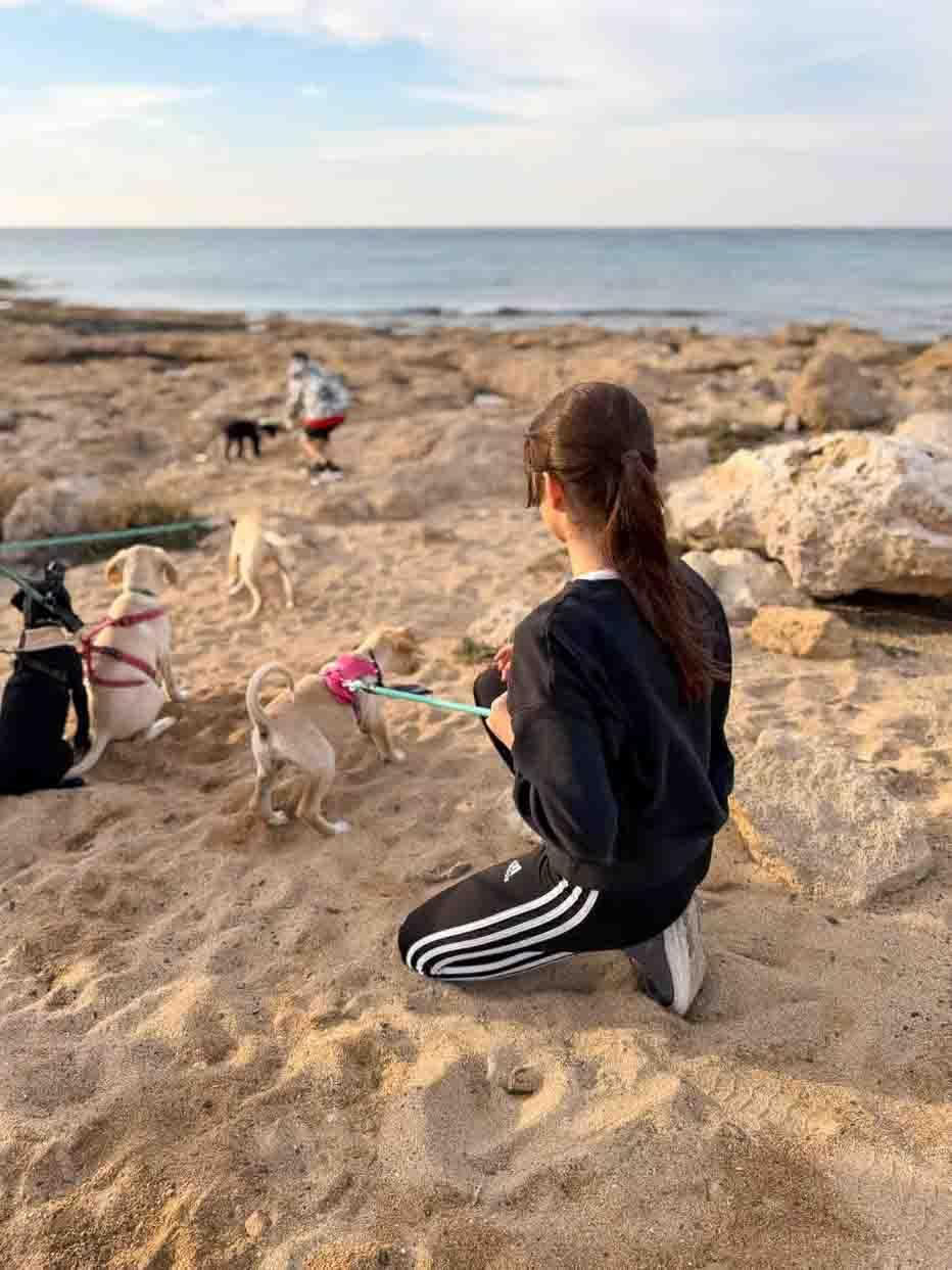 Passeggiata in spiaggia con cuccioli
