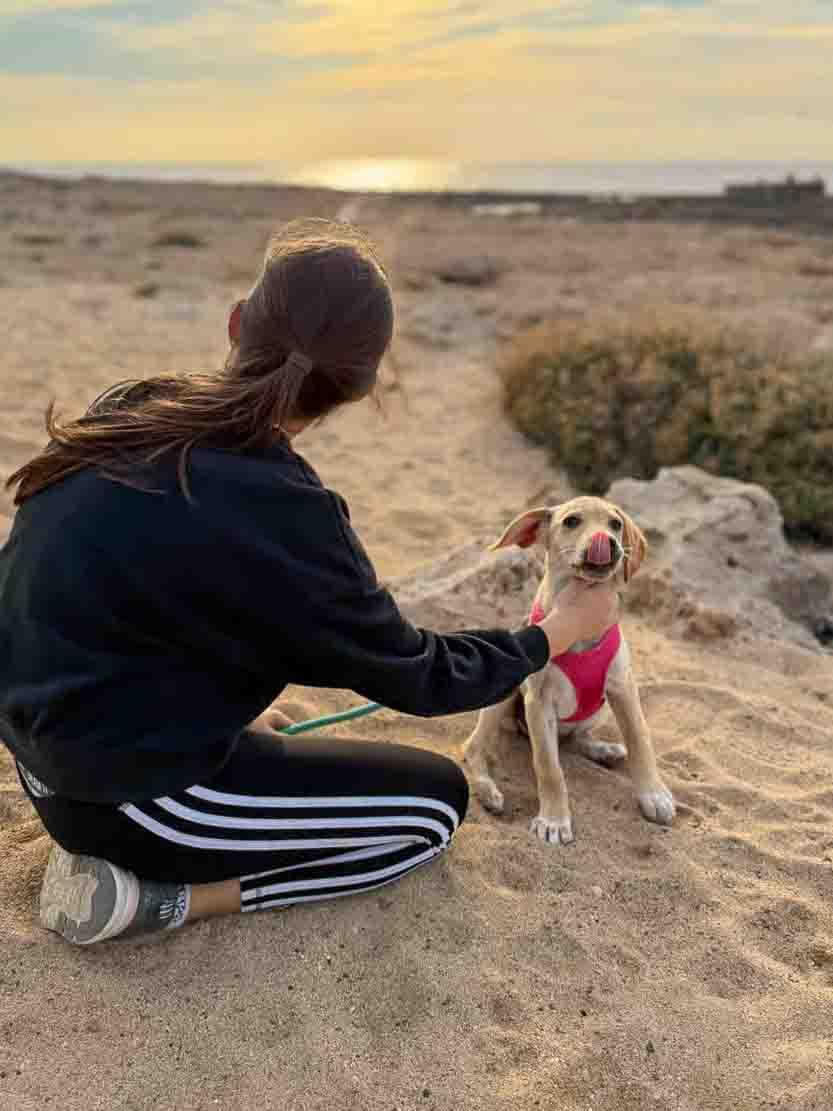Passeggiata in spiaggia con cuccioli