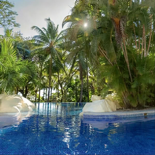 The Inner well ritiro: Costa Rica 2027