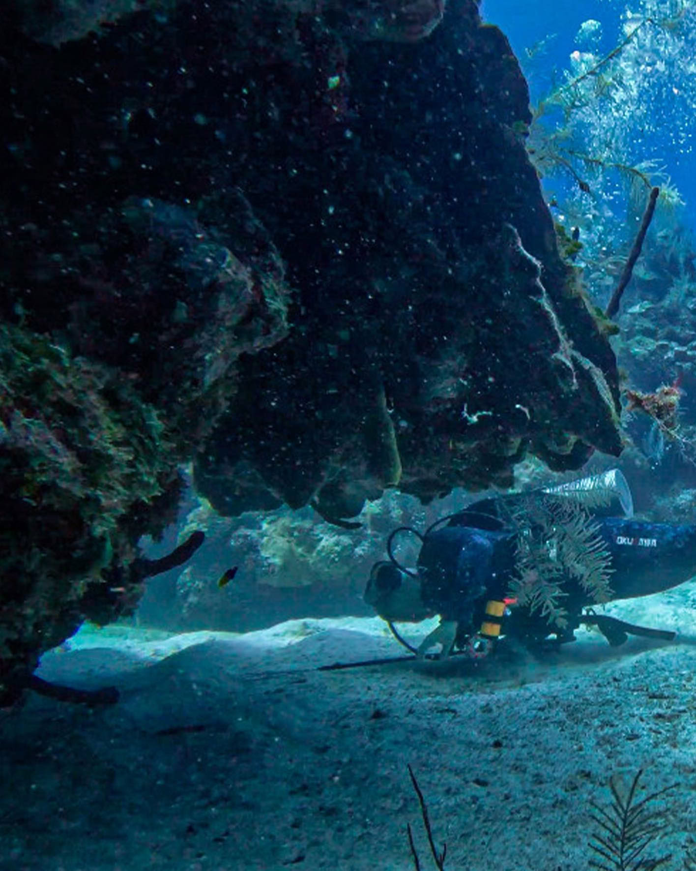 Depth & Discovery: Una spedizione subacquea Mahai