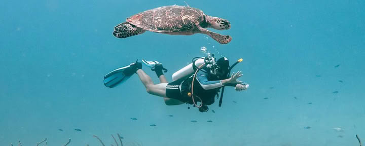 Depth & Discovery: Una spedizione subacquea Mahai
