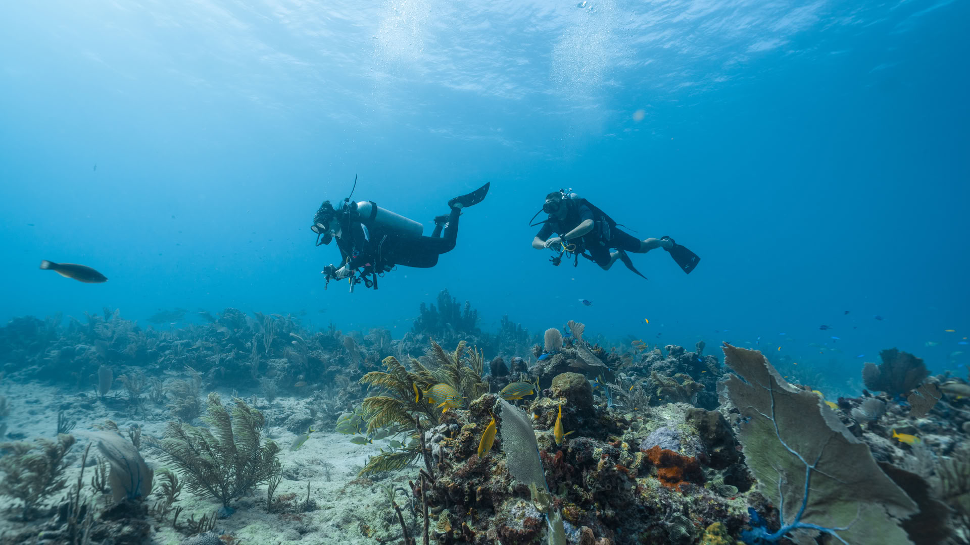 Earthkeepers Ritiro: Imparare a vivere in armonia con la Terra