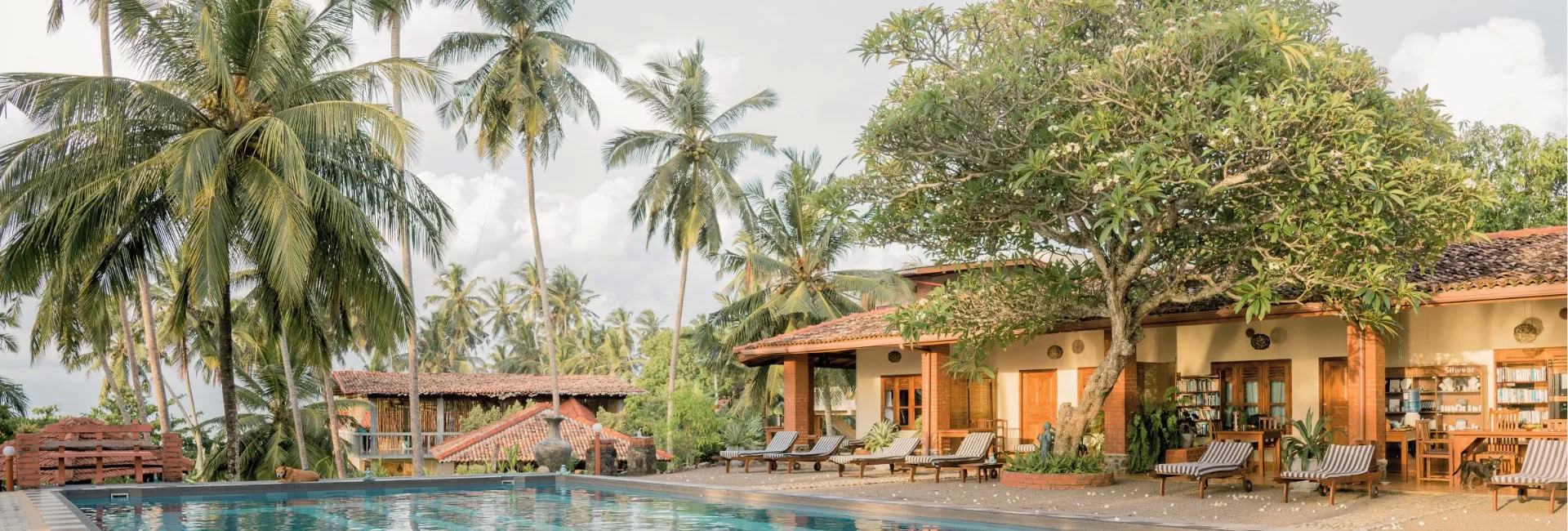 Sri Lanka Ritiro – Settembre 2026