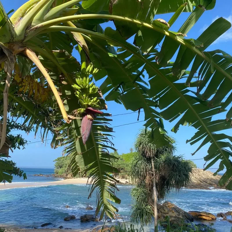 Sri Lanka Ritiro – Aprile 2027