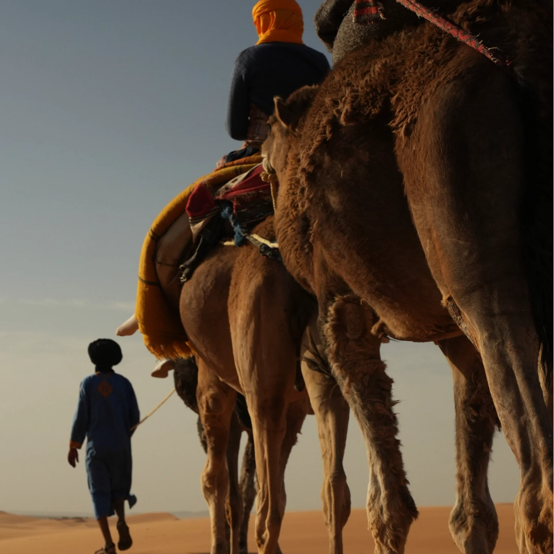 Ritiro di yoga e esplorazione del deserto di 9 giorni "Trova la tua forza interiore