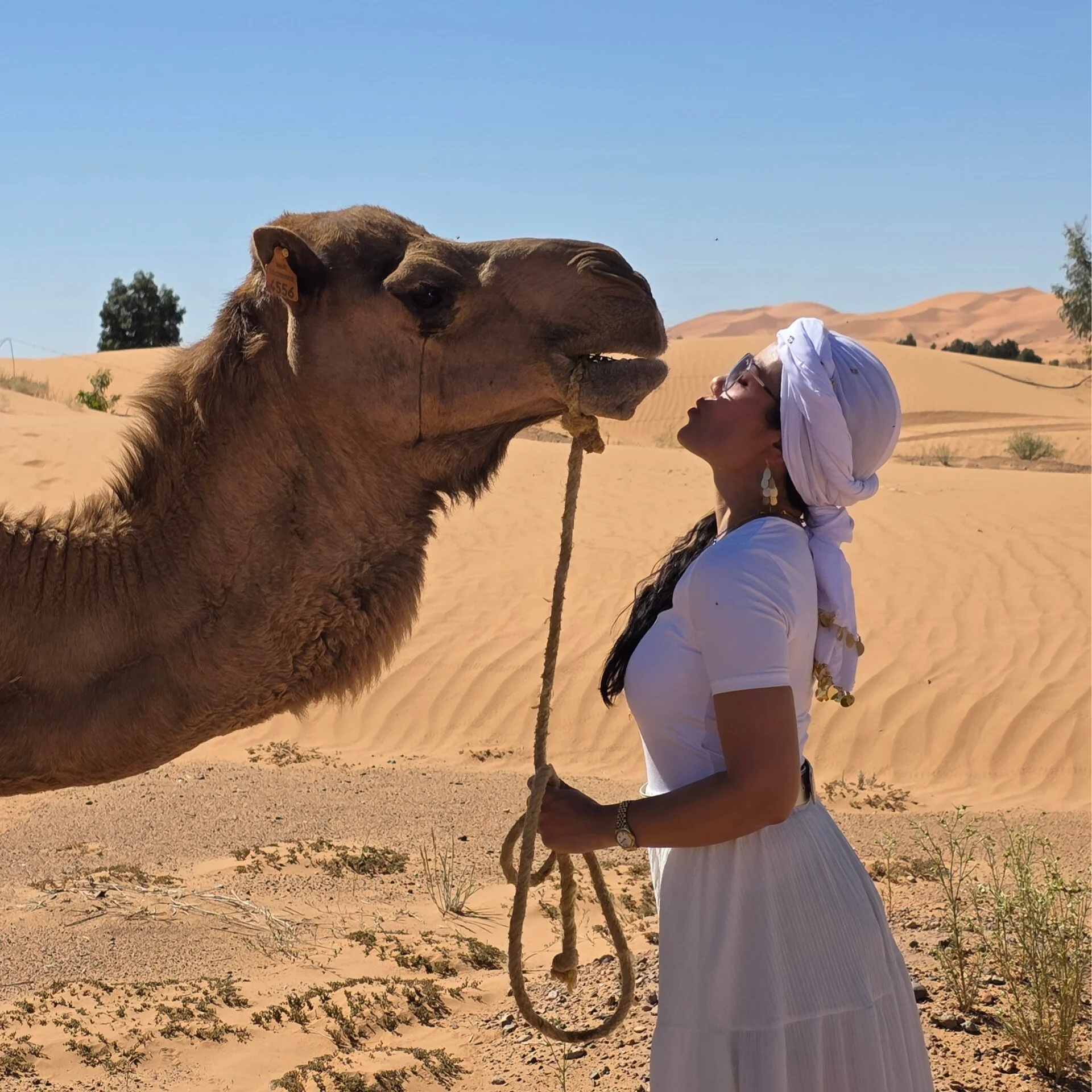 9 Giorni Yoga & esplora Ritiro nel Deserto – 28 Nov - 6 Dic